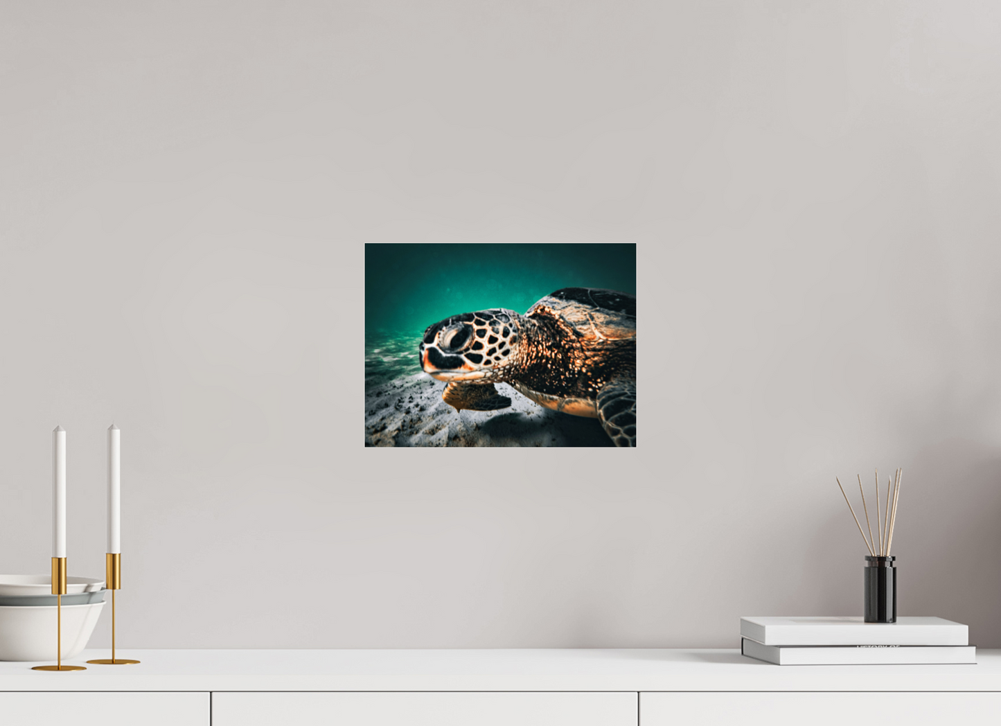 12 x 9″, Photo Print Under Acrylic Glass Hawaii Sea Turtle