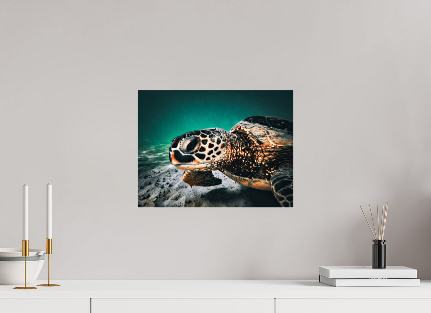 16 x 12″, Photo Print Under Acrylic Glass Hawaii Sea Turtle