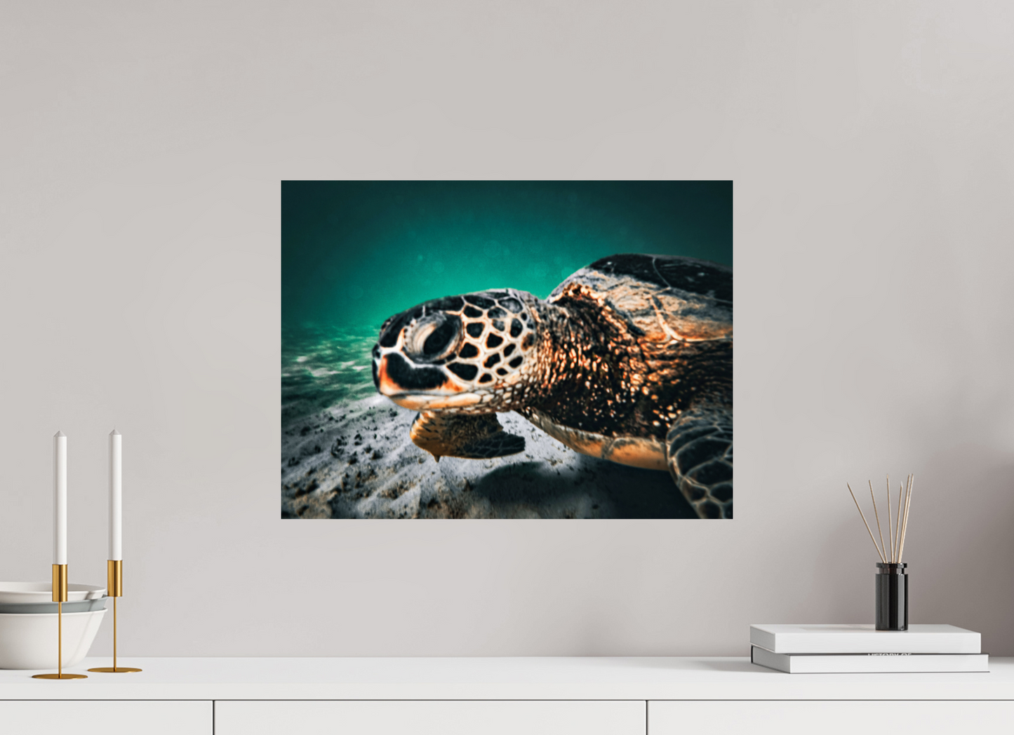 20 x 15″, Photo Print On Fuji Crystal DP II Hawaii Sea Turtle